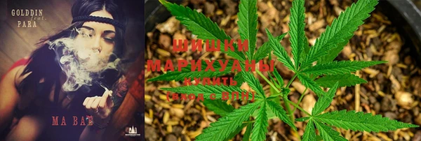 стаф Кинешма